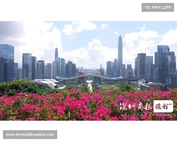 2021年深圳网球公开赛—2024深圳国际网球公开赛盛大启幕全球顶尖选手齐聚鹏城角逐荣耀