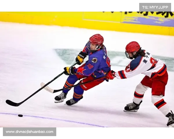 冰球2020(冰雪盛宴冰球赛事全球精英汇聚冰场巅峰对决点燃冬日激情)