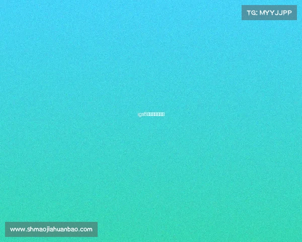 igs8冠军皮肤是哪个